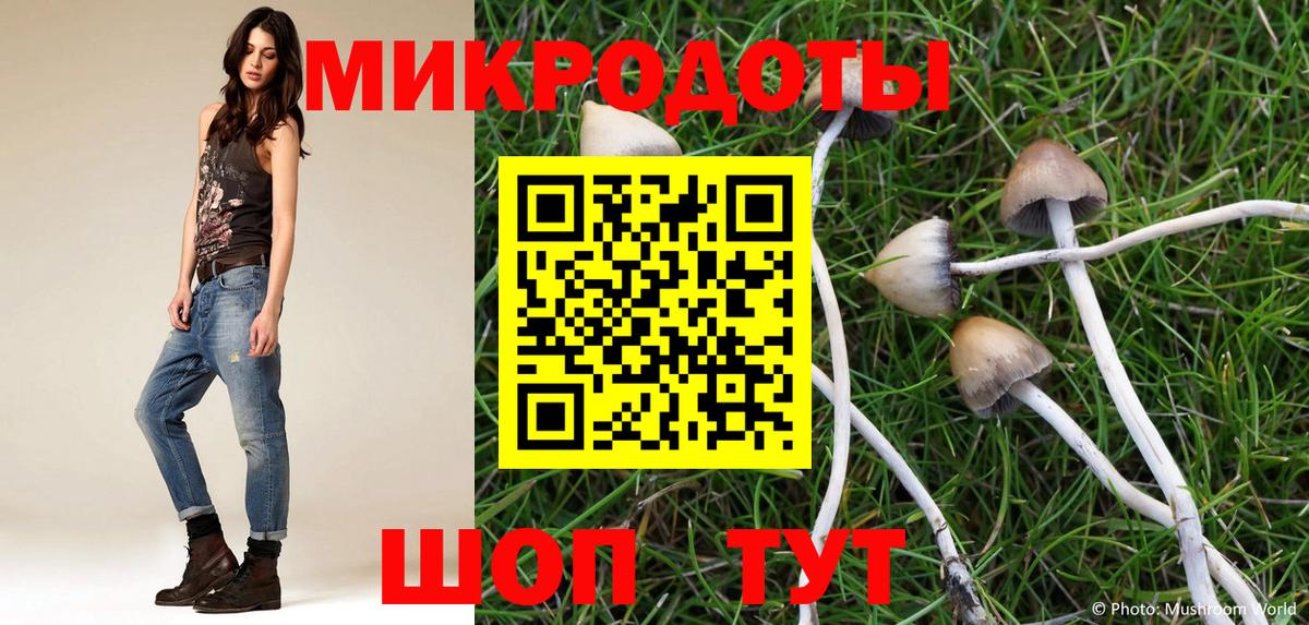 Псилоцибиновые грибы Psilocybe  купить закладку  Куйбышев  Вход с VPN 