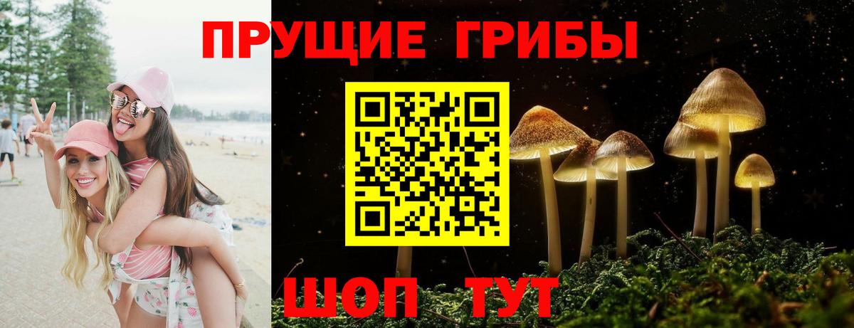 Псилоцибиновые грибы GOLDEN TEACHER Куйбышев